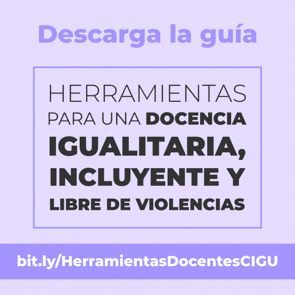 Buenas Prácticas Docentes Para La Igualdad De Género – Coordinación ...