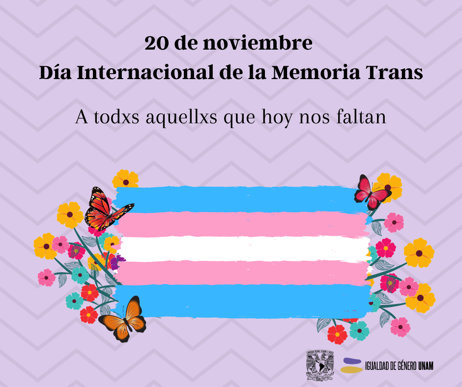 Memoria Trans CIGU UNAM