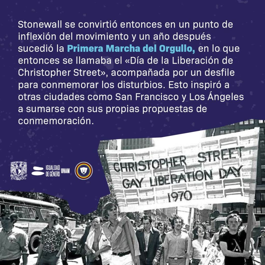 stonewall CIGU UNAM